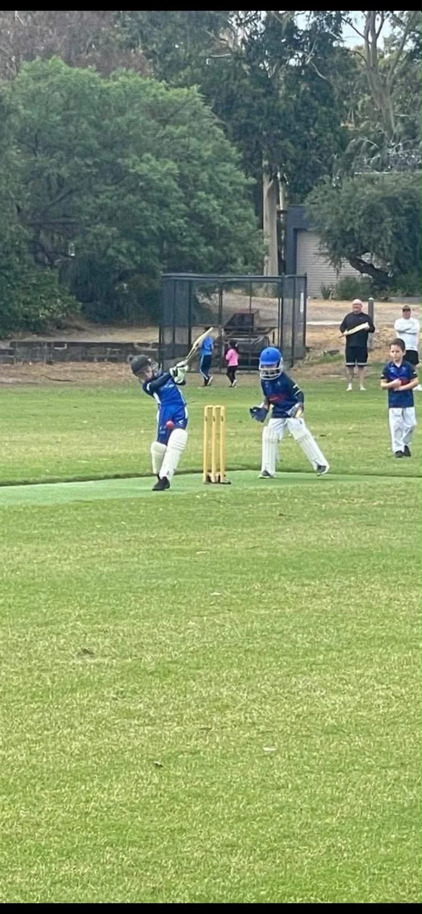 Dingley junior cricket match action