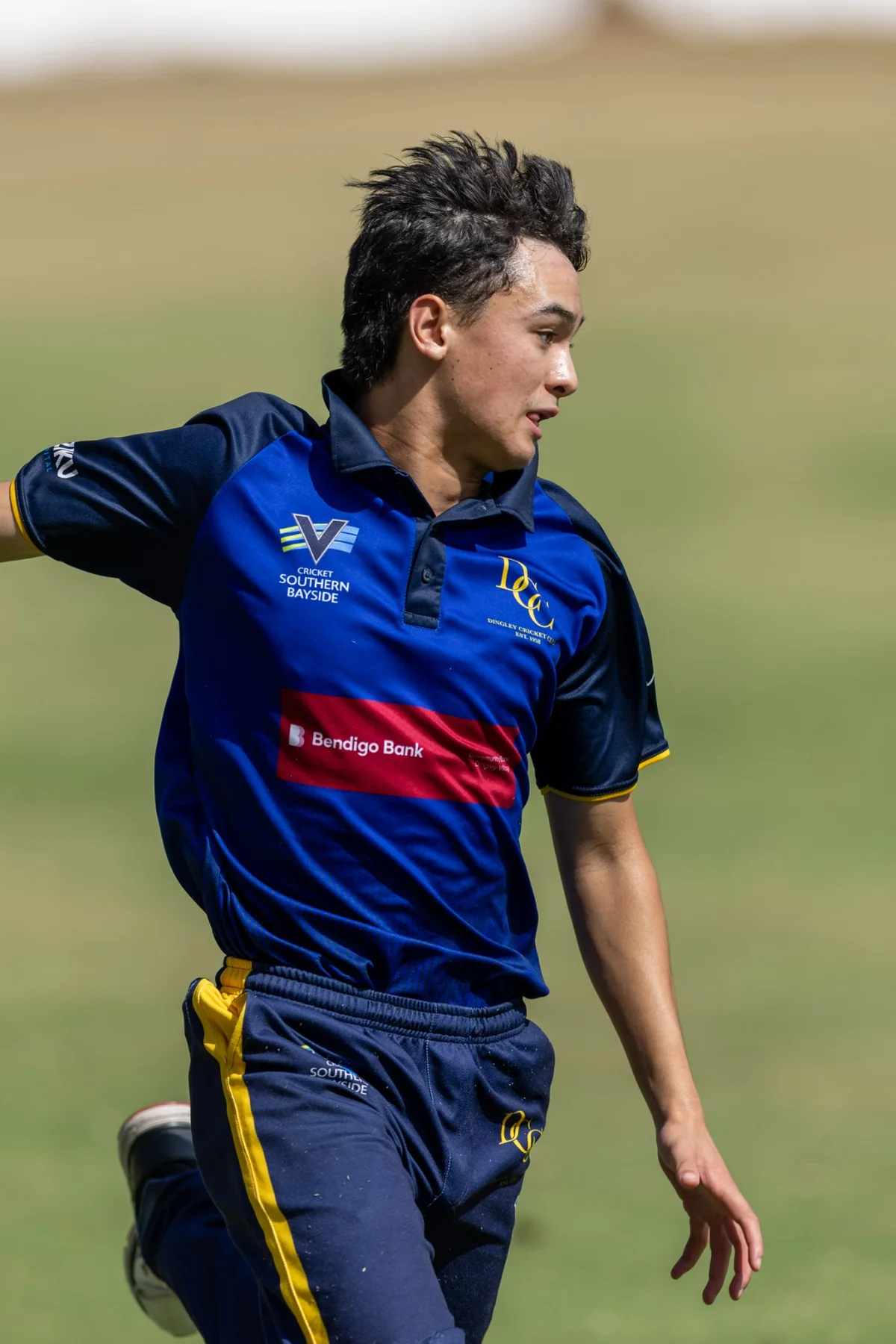 Dingley senior cricketer in club colours